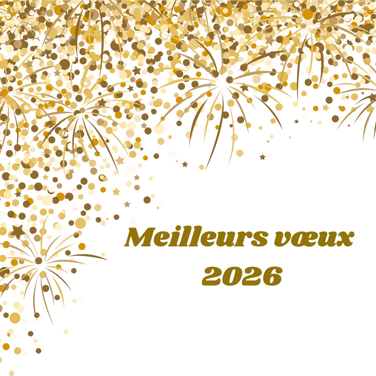Meilleurs voeux 2026